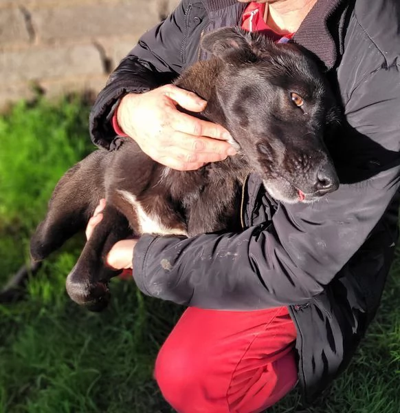 Bibbi l'entusiasmo del suo essere ti prende il cuore  | Foto 2