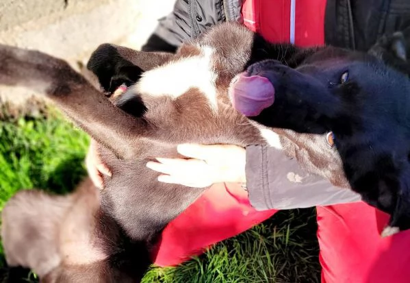 Bibbi l'entusiasmo del suo essere ti prende il cuore  | Foto 1