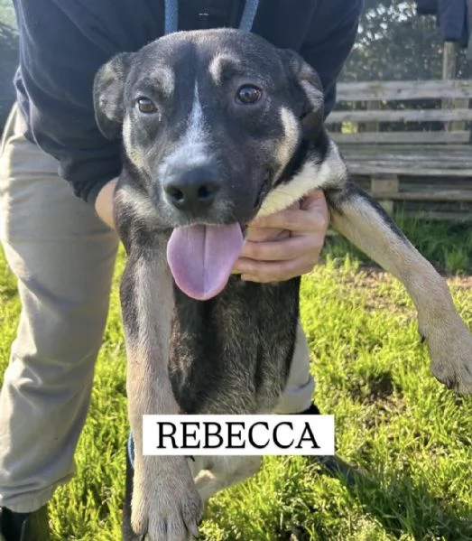 REBECCA, cucciolandia | Foto 4