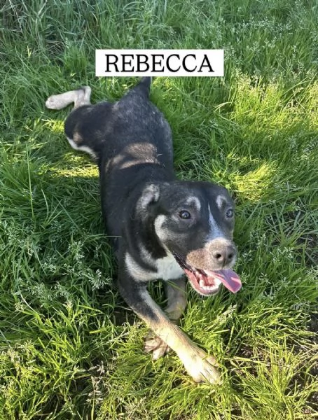 REBECCA, cucciolandia | Foto 5