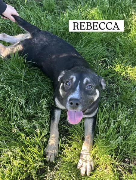 REBECCA, cucciolandia | Foto 1