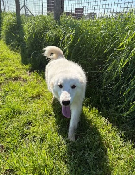 MOLLY, un raggio di sole | Foto 6