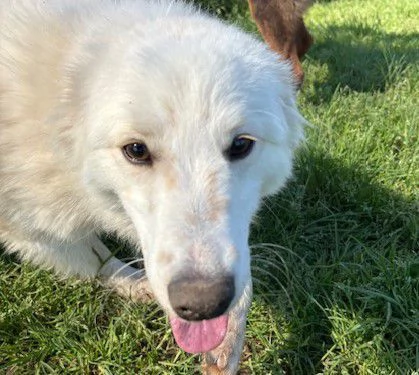 MOLLY, un raggio di sole | Foto 5