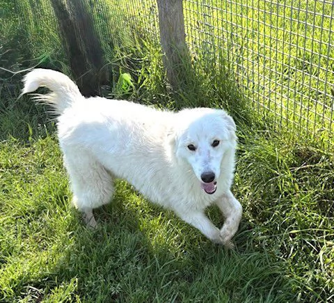 MOLLY, un raggio di sole | Foto 3