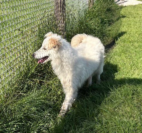 MOLLY, un raggio di sole | Foto 2