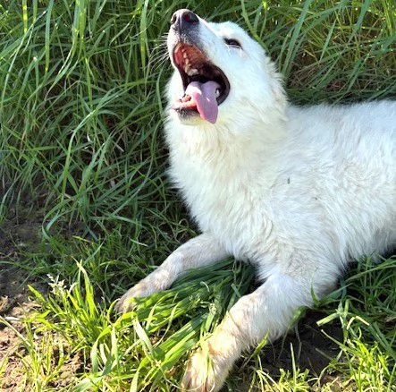 MOLLY, un raggio di sole | Foto 1