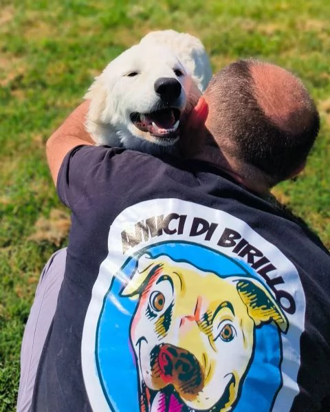 SVEN, cucciolone di pastore abruzzese | Foto 1