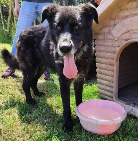 GILDA, un cuore un'anima | Foto 0