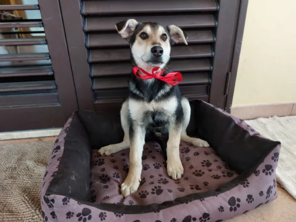 Neve e kira | Foto 3