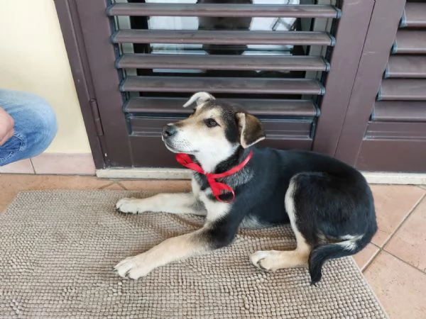 Neve e kira | Foto 2