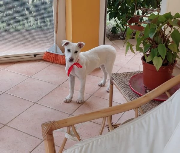 Neve e kira | Foto 1