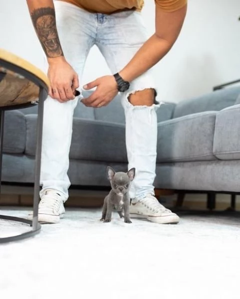 2 splendide femmine! e 1 maschio in regalo | Foto 0