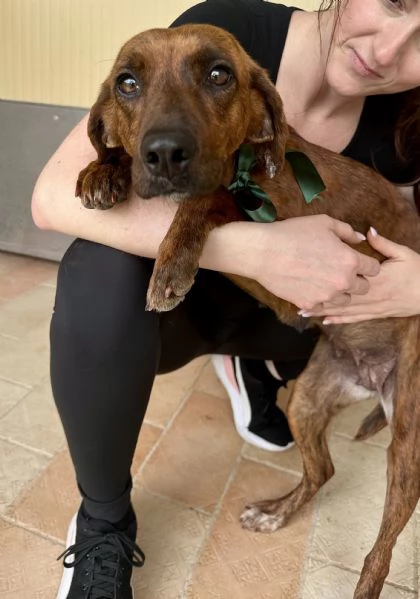 Olivia segugina di una dolcezza infinita 1 anno tg media | Foto 5