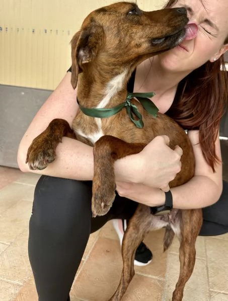 Olivia segugina di una dolcezza infinita 1 anno tg media | Foto 3