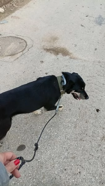 Nelly taglia media | Foto 0