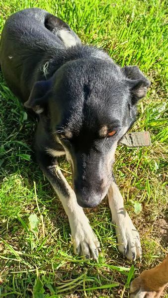 Nelly la simpaticona  | Foto 3