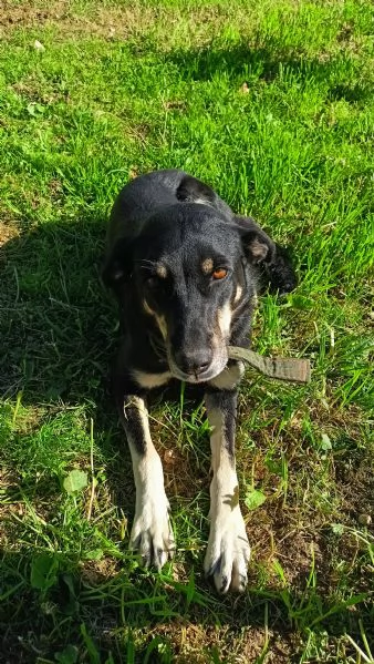 Nelly la simpaticona  | Foto 3