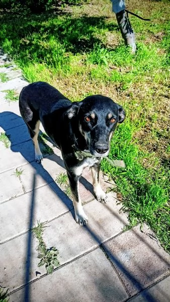 Nelly la simpaticona  | Foto 0