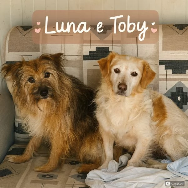 Luna e Toby cercano adozione! rimasti soli dopo la morte del loro papà umano