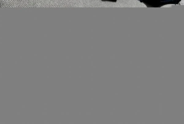 cuccioli di Maltese ALLEVATI CON AMORE per adozione | Foto 1