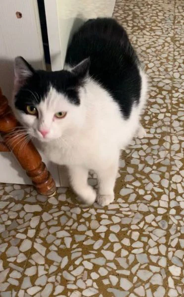 Una casetta per Black&White | Foto 4