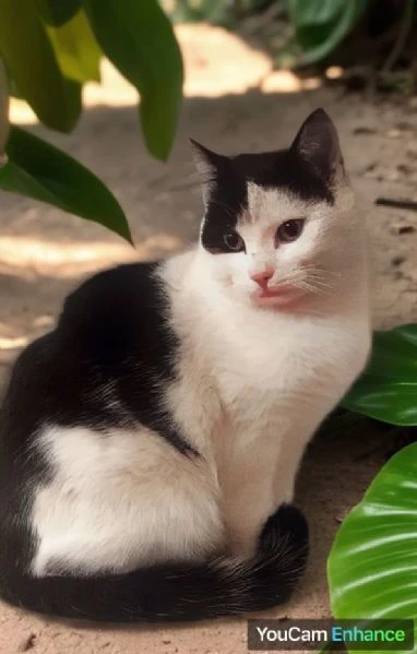 Una casetta per Black&White | Foto 0