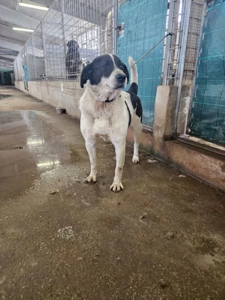 Coffee: super dolce con tutti  | Foto 1