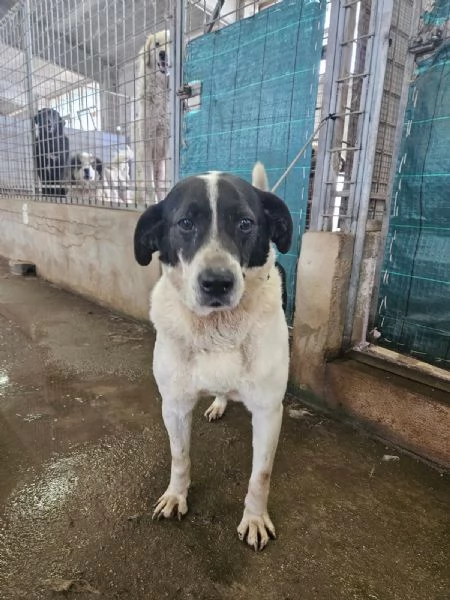 Coffee: super dolce con tutti  | Foto 0