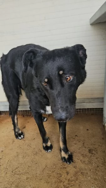 Carlo: timido e dolce, socievole, riservato 