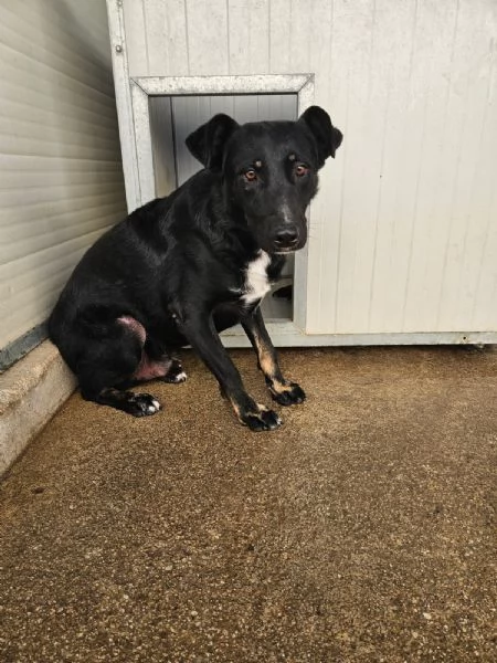 Luigi: timido e dolce, riservato e socievole 