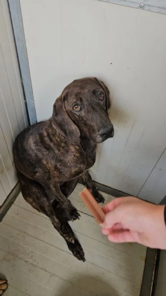 Michele: adozione del cuore | Foto 2