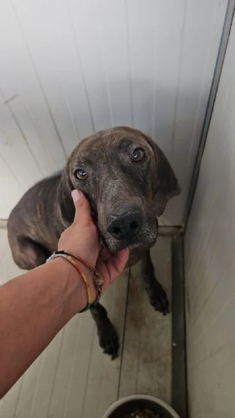 Michele: adozione del cuore | Foto 0