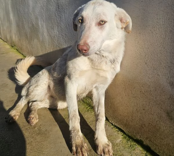 Chiara: 1 anno, socievole ed equilibrata