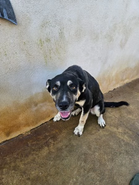 Fabrizia: taglia grande, dolce ed equilibrata  | Foto 2