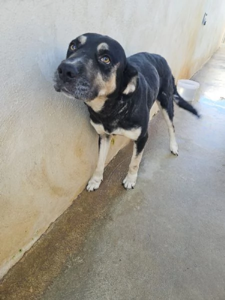 Fabrizia: taglia grande, dolce ed equilibrata 