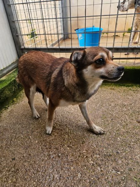 Jenna: taglia piccola super dolce  | Foto 2