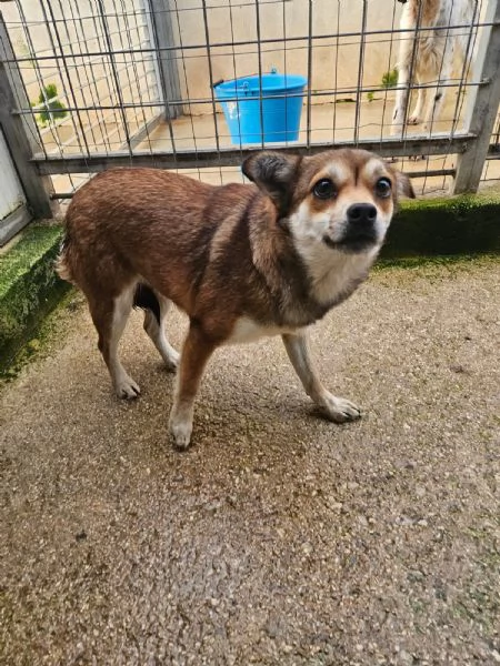 Jenna: taglia piccola super dolce 