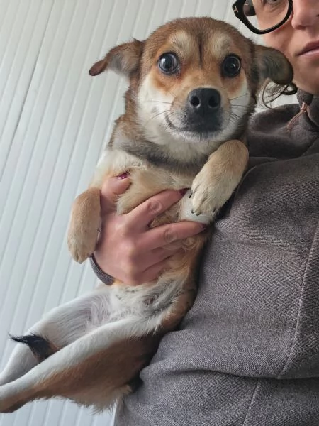 Jenna: taglia piccola super dolce  | Foto 0