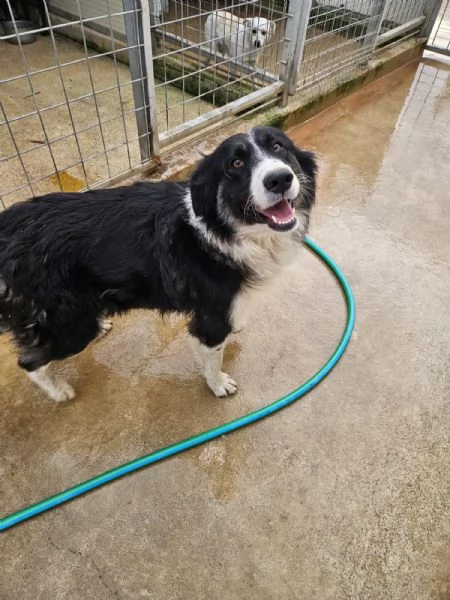 Rosalia: giovane mammina equilibrata dolcissima 