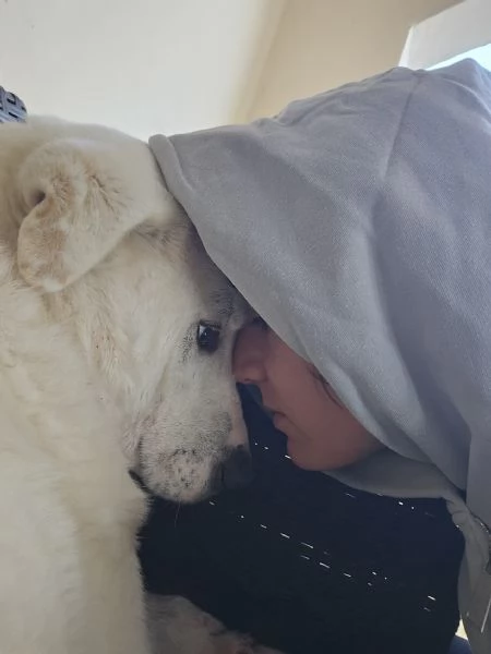 Consuelo: dolce, equilibrata, socievole  | Foto 1