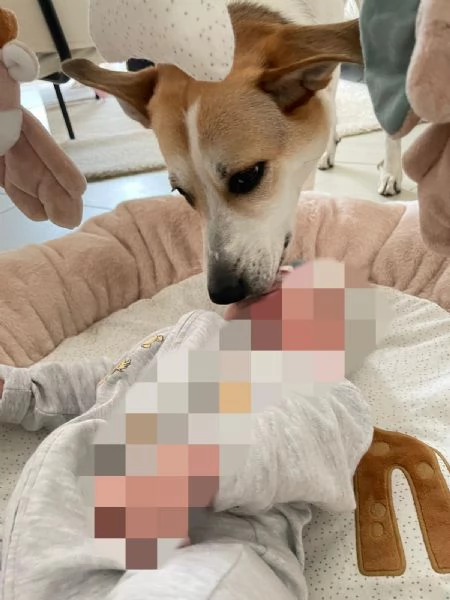 India cerca nuova famiglia  | Foto 2