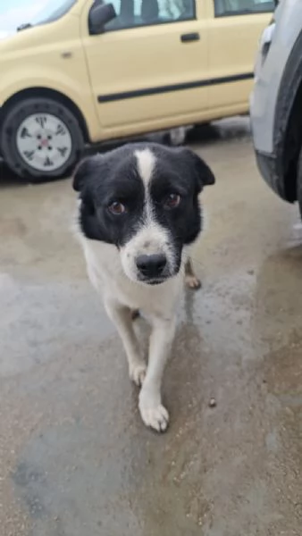 Elba: 2 mesi taglia contenuta | Foto 4