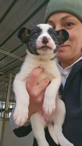Elba: 2 mesi taglia contenuta