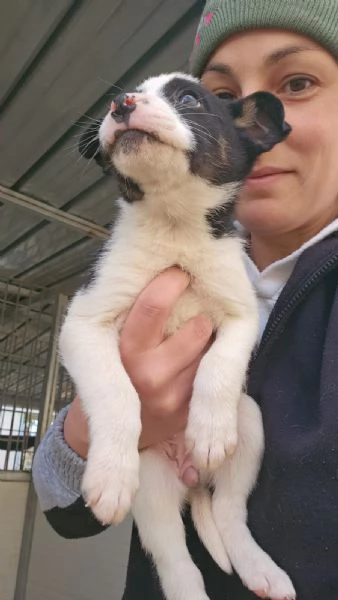 Elba: 2 mesi taglia contenuta | Foto 3