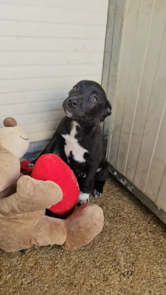 Lipari: 3 mesi taglia contenuta  | Foto 6