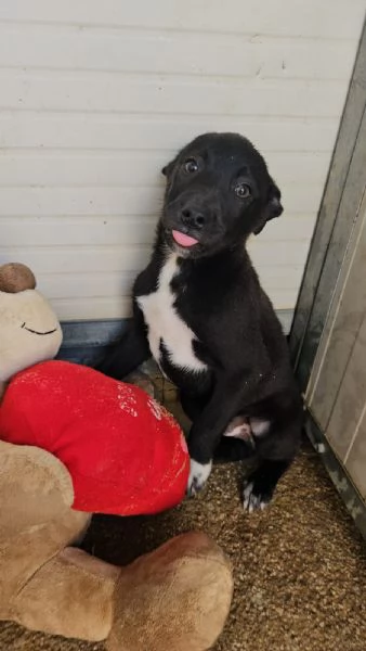 Lipari: 3 mesi taglia contenuta 