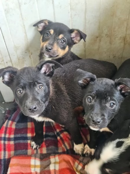 Lipari: 3 mesi taglia contenuta  | Foto 2