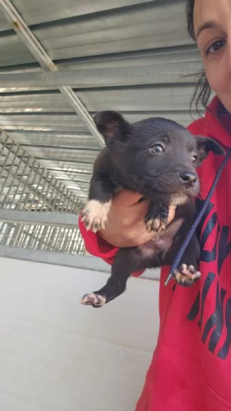 Lipari: 2 mesi taglia contenuta 