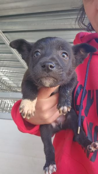 Lipari: 2 mesi taglia contenuta  | Foto 0