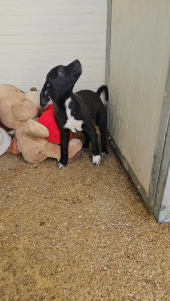 Lipari: 3 mesi taglia contenuta  | Foto 0